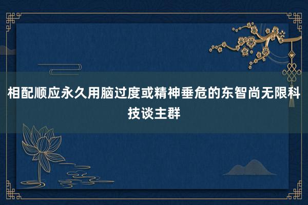 相配顺应永久用脑过度或精神垂危的东智尚无限科技谈主群