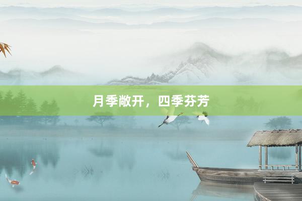 月季敞开，四季芬芳
